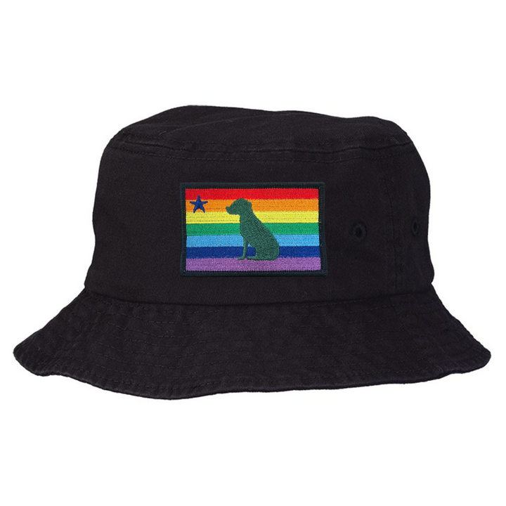 Rainbow Dog 1901 Maine Flag Bucket Hat