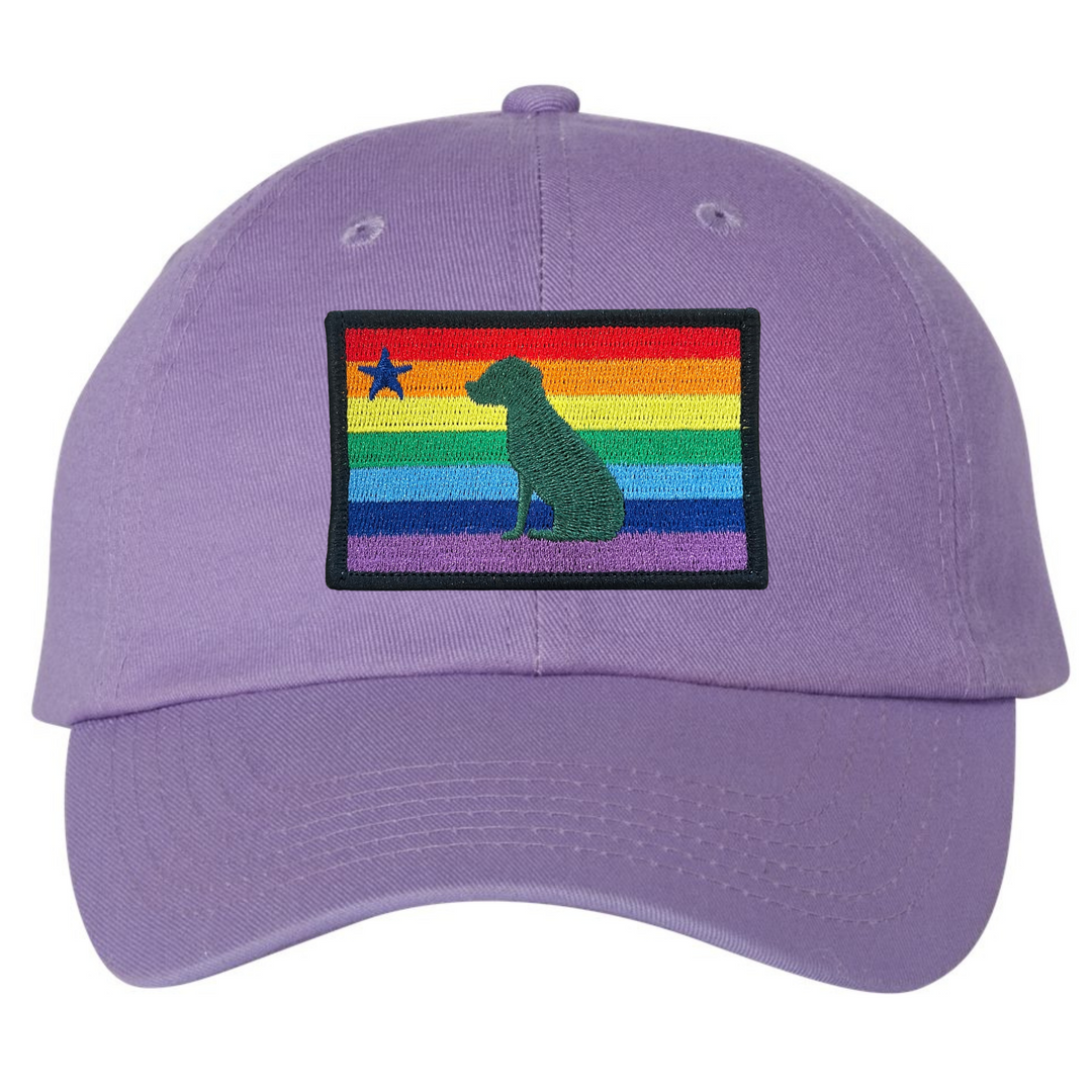 Rainbow Dog 1901 Maine Flag Dad Hat