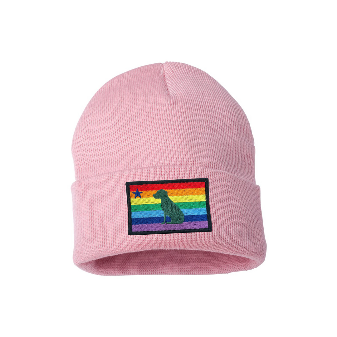 Rainbow Dog 1901 Maine Flag Beanie