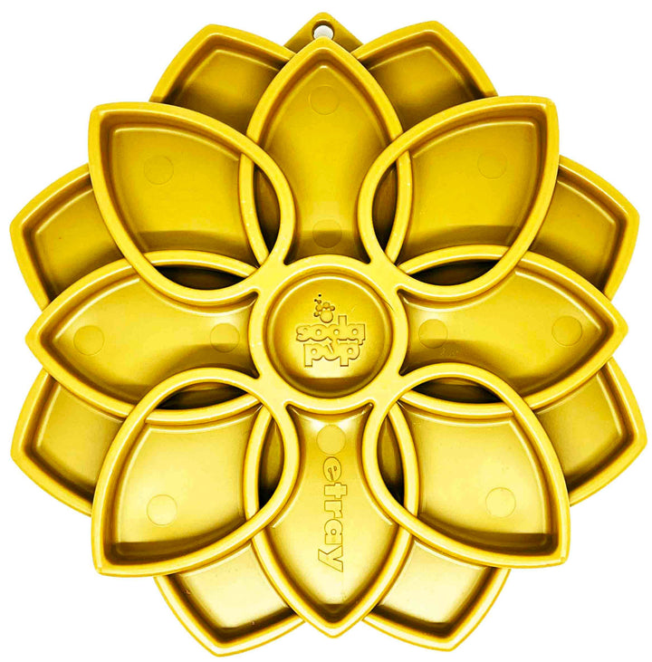 Mandala Design Enrichment Tray