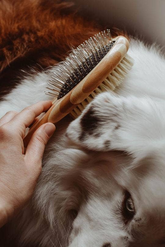 Bamboo Two-Sided Dog Brush