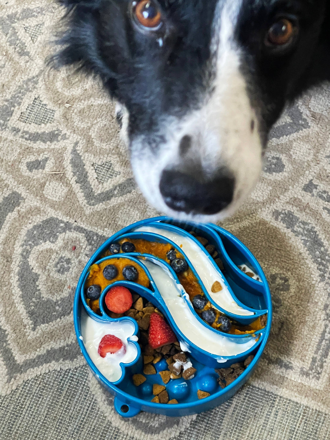 Wave Design Enrichment Slow Feeder Bowl for Dogs