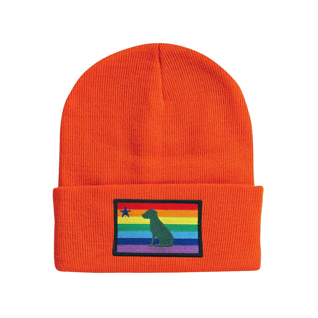 Rainbow Dog 1901 Maine Flag Beanie