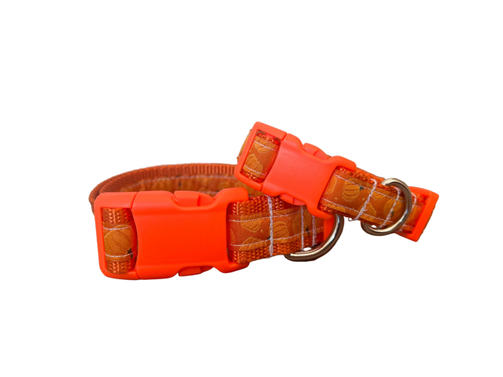 The Pumpkin Collar