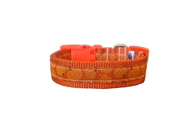 The Pumpkin Collar