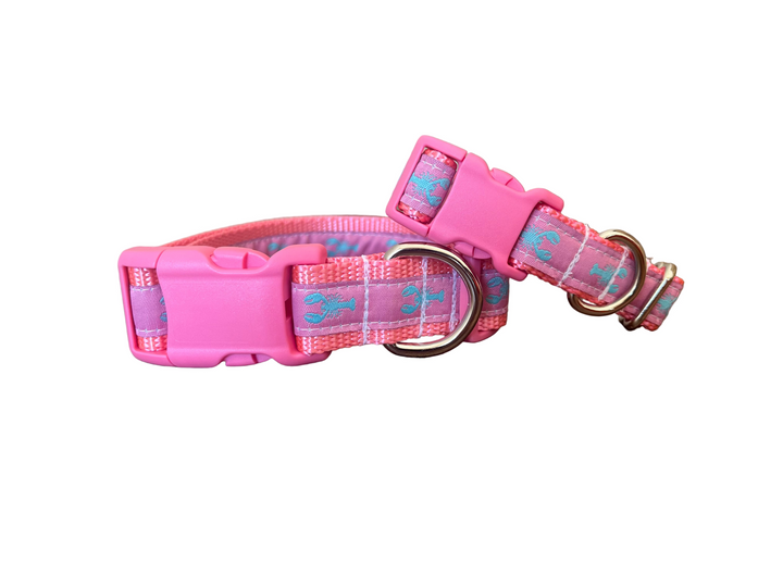 Pink Maine Lobster Collar