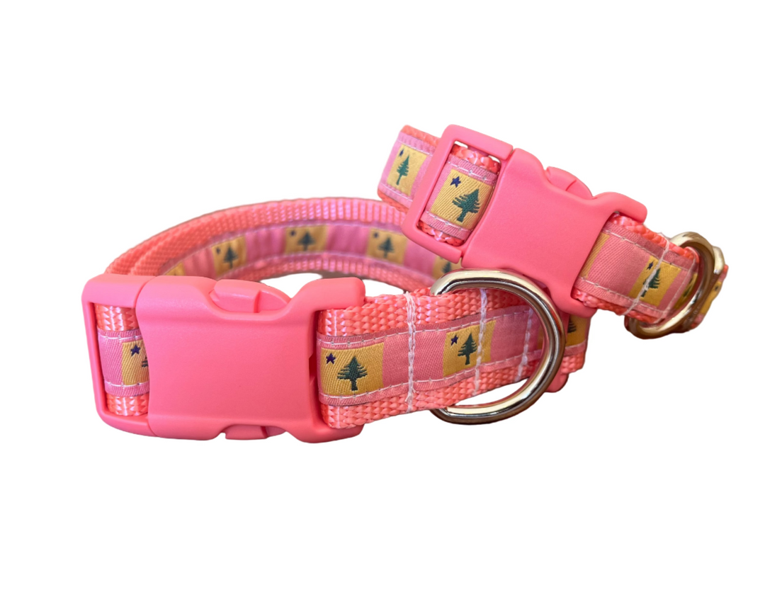 Pink 1901 Maine Flag Collar