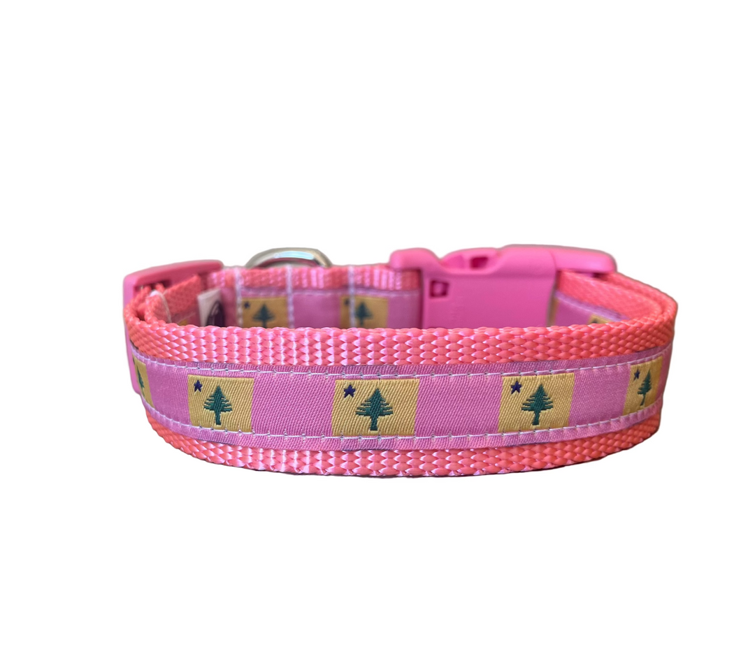 Pink 1901 Maine Flag Collar