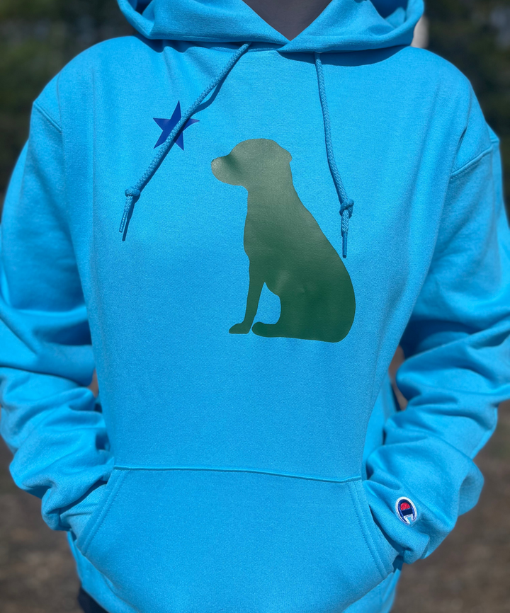 Dog 1901 Maine Flag Hoodie - Unisex