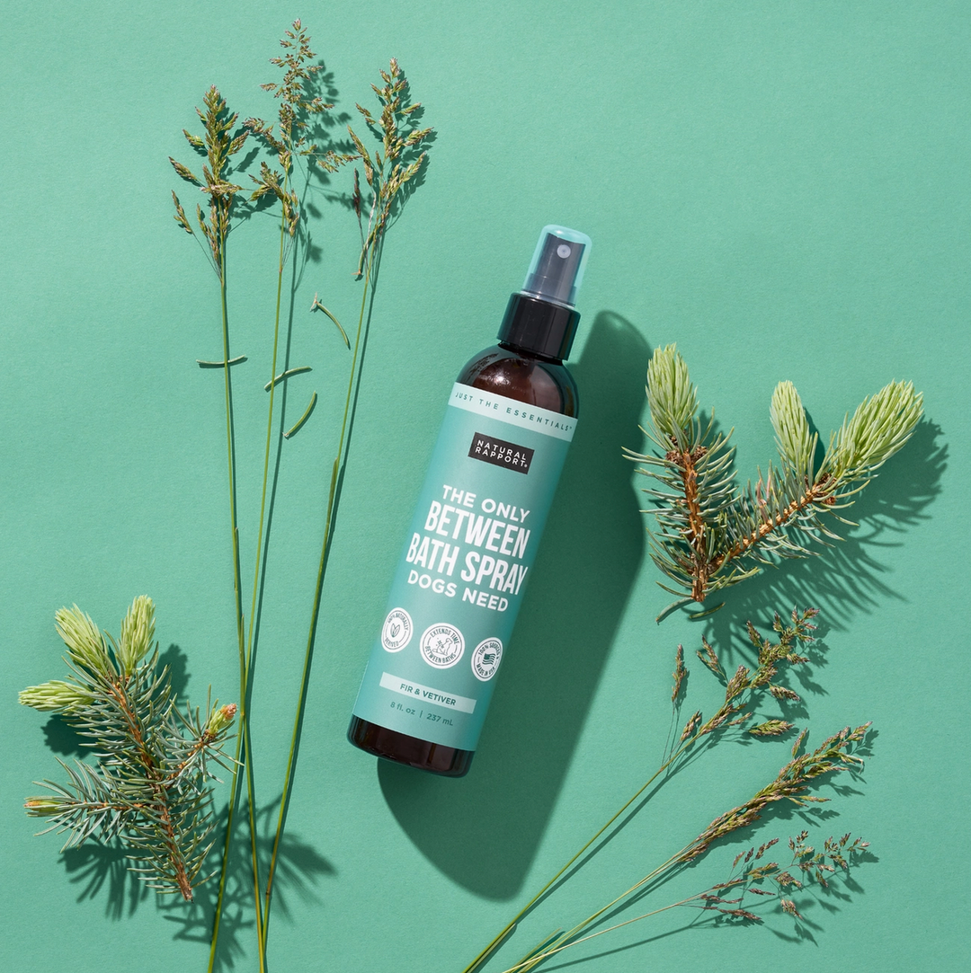 The Only Between Bath Spray Dogs Need - Fir & Vetiver - 8 oz