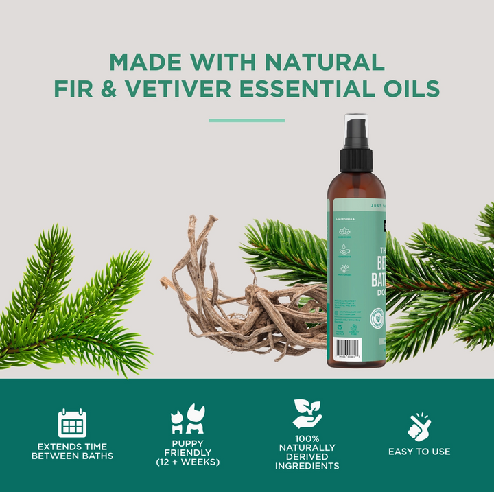 The Only Between Bath Spray Dogs Need - Fir & Vetiver - 8 oz
