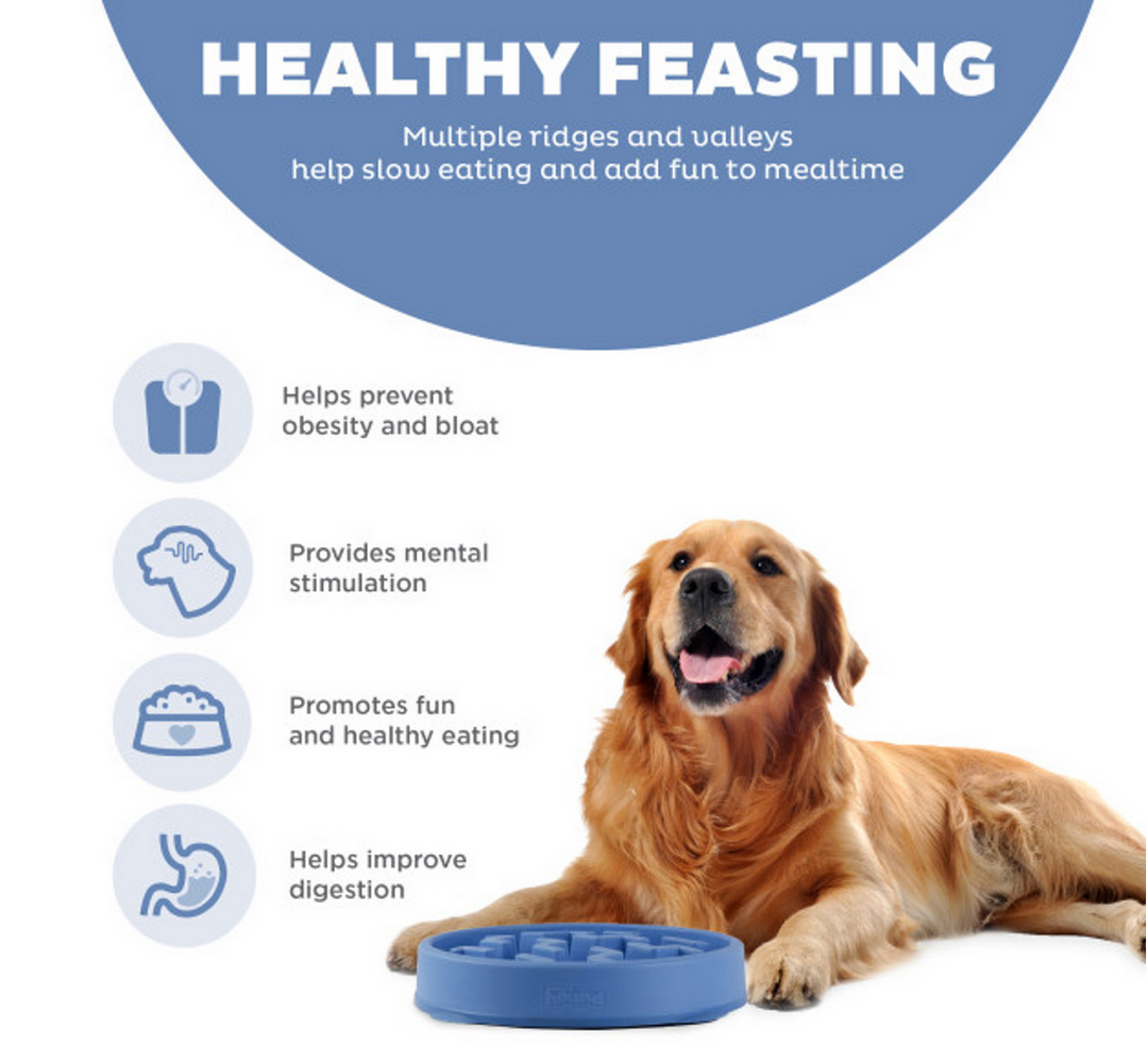 Outward Hound Fun Feeder Slo Bowl, Blue - Large