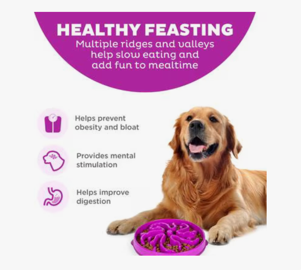 Outward Hound Fun Feeder Slo Bowl, Purple - Large