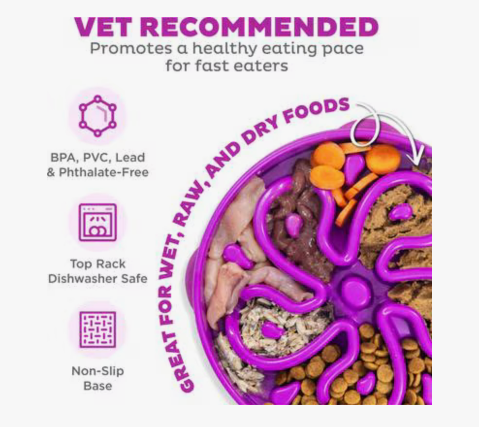 Outward Hound Fun Feeder Slo Bowl, Purple - Large