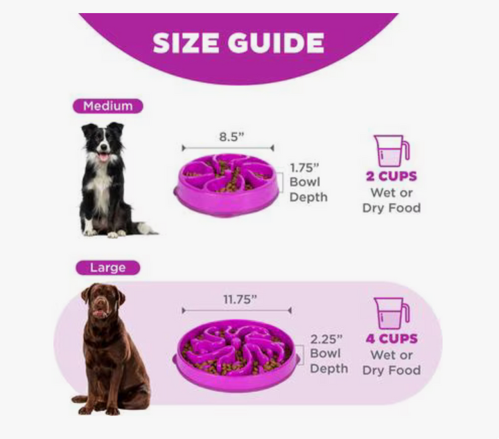 Outward Hound Fun Feeder Slo Bowl, Purple - Large