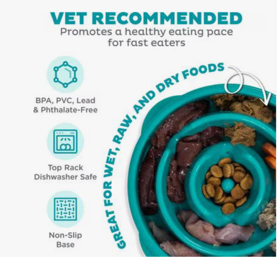 Outward Hound Fun Feeder Slo Bowl, Blue - Small