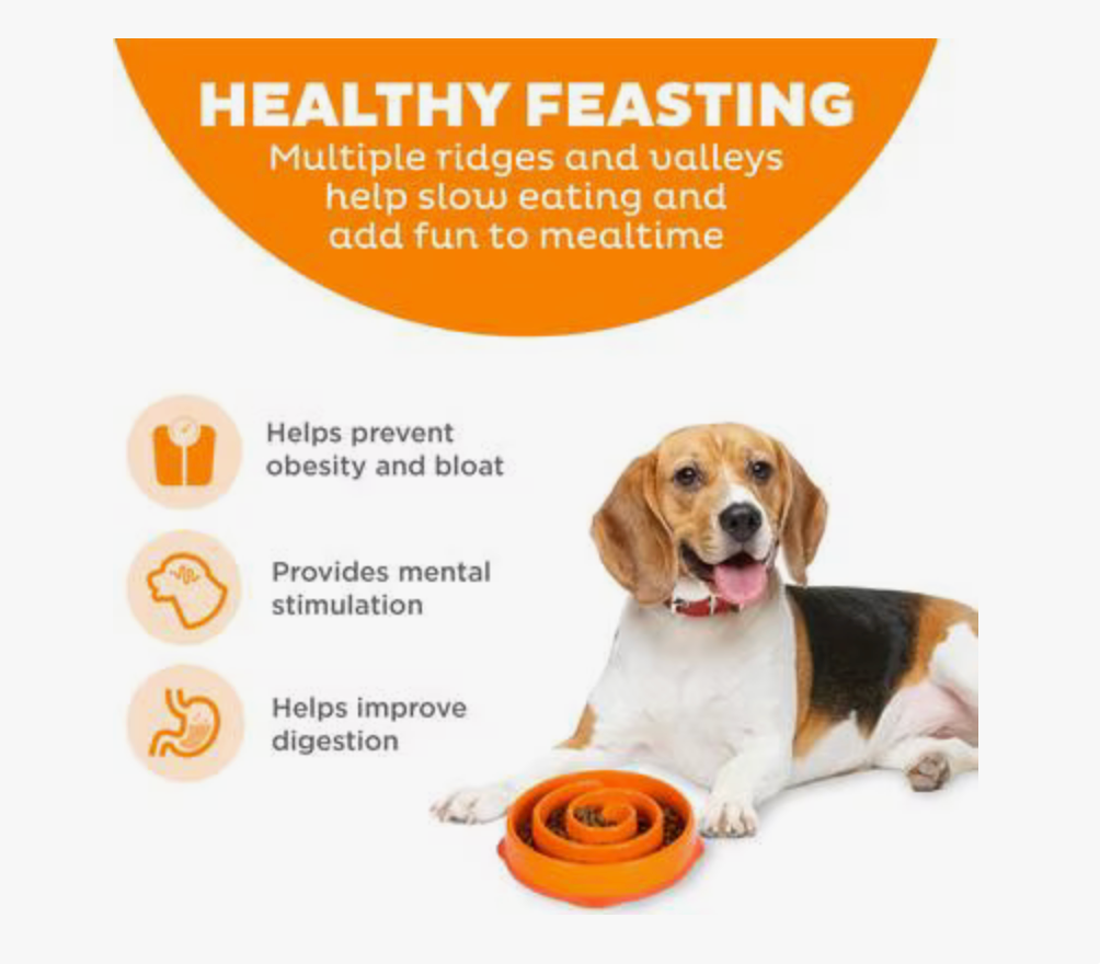 Outward Hound Fun Feeder Slo Bowl, Orange - Small