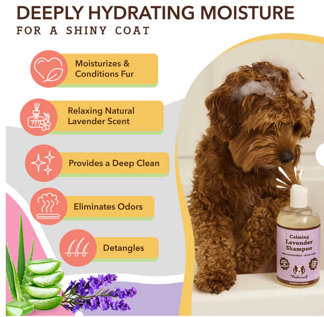 Natural Dog Company - Shampoo