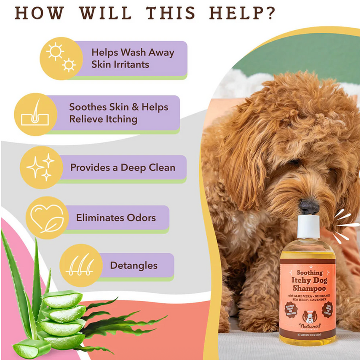 Natural Dog Company - Shampoo