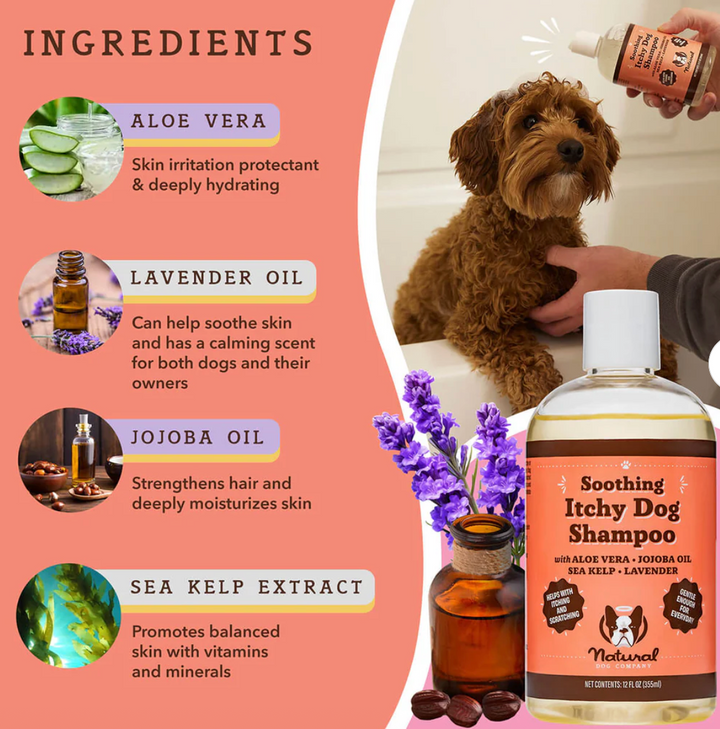 Natural Dog Company - Shampoo