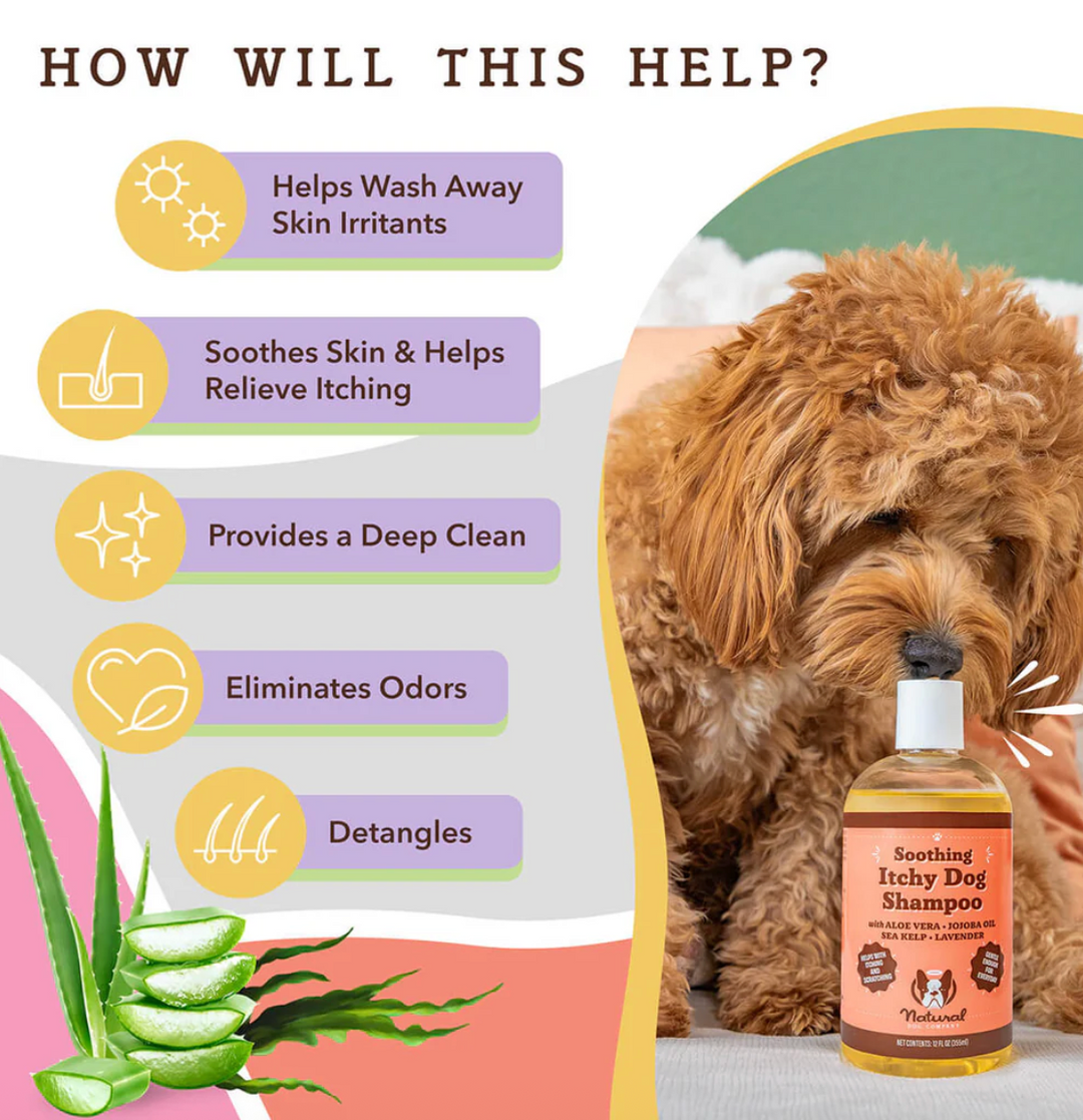 Natural Dog Company - Shampoo