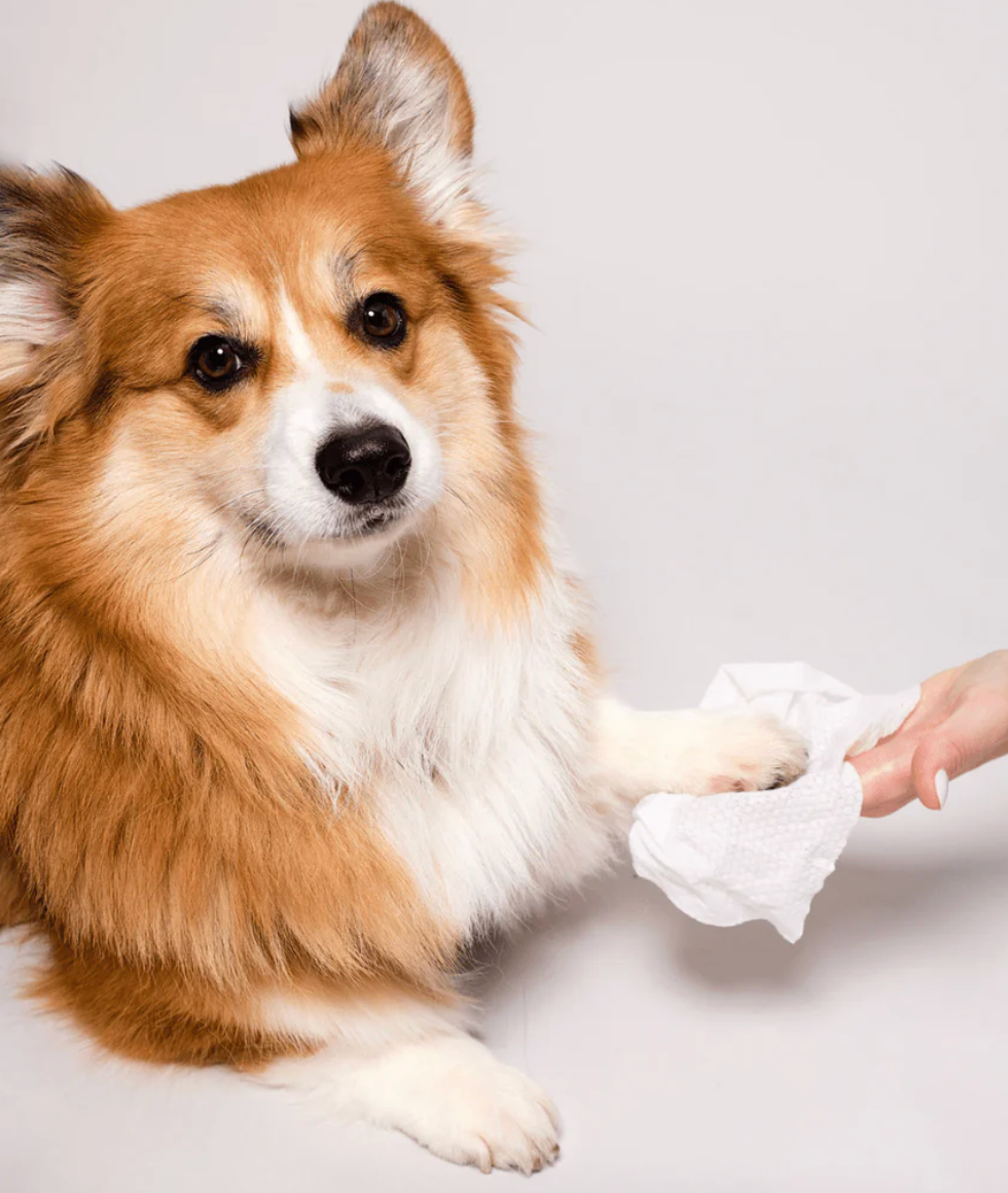 Natural Dog Company - Grooming Wipes - 50 Count