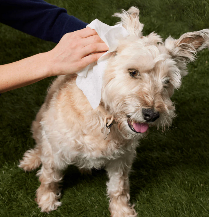 Natural Dog Company - Grooming Wipes - 50 Count