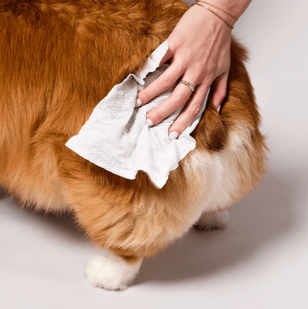 Natural Dog Company - Grooming Wipes - 50 Count