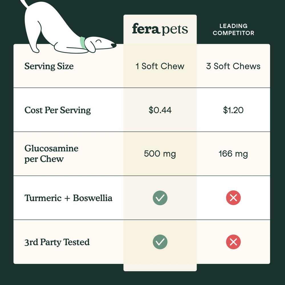 Hip + Joint Support Soft Chews for Dogs Pet Supplement