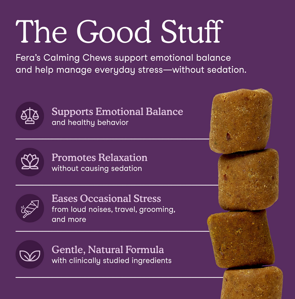 Calming Soft Chews for Dogs