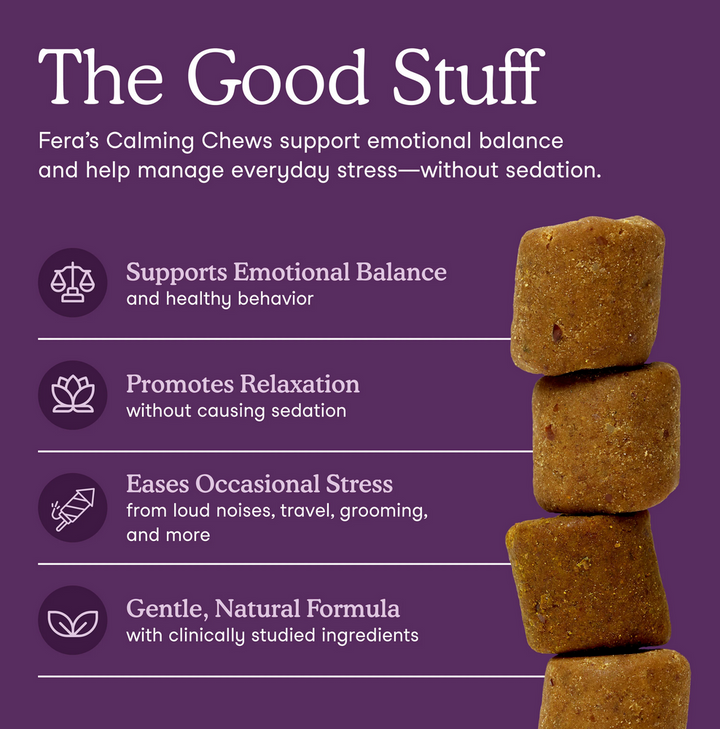 Calming Soft Chews for Dogs