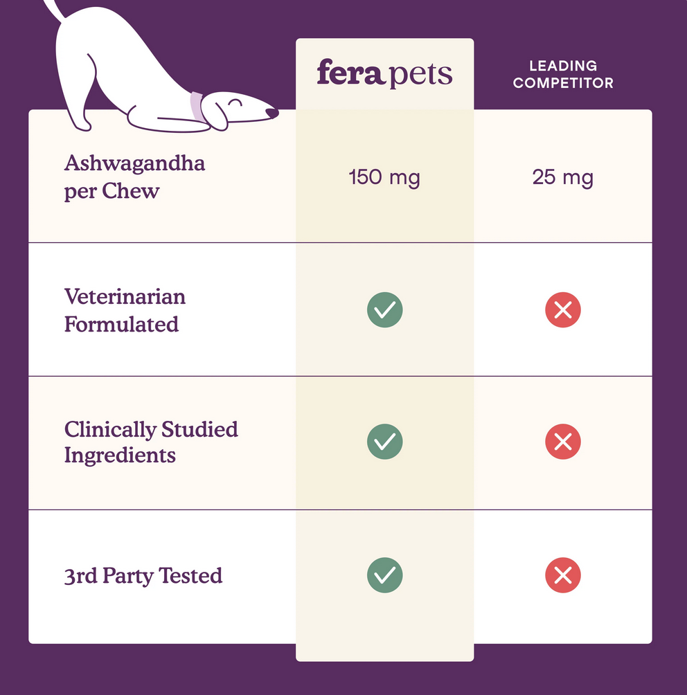 Calming Soft Chews for Dogs