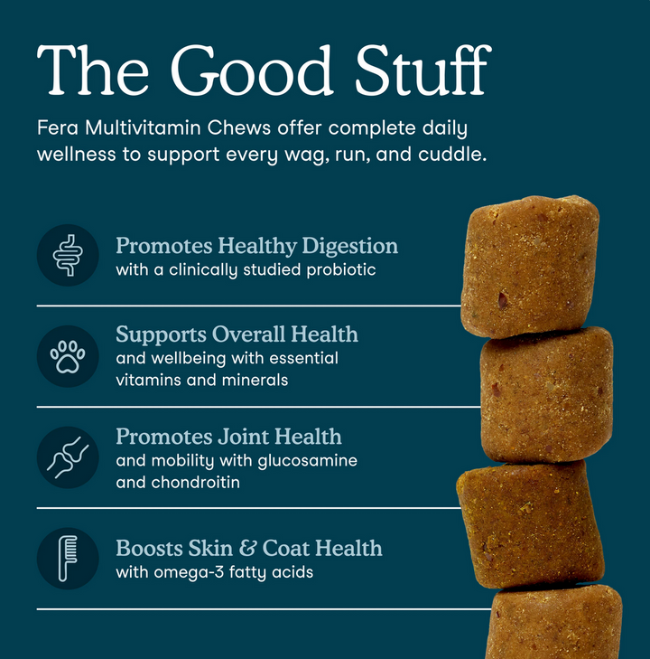 Multivitamin Soft Chews for Dogs