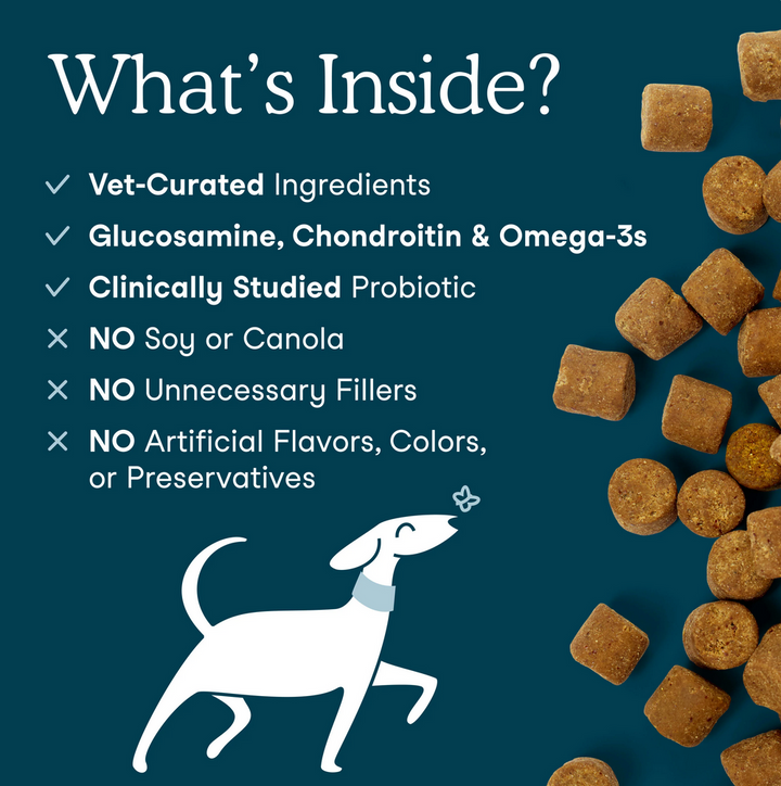 Multivitamin Soft Chews for Dogs