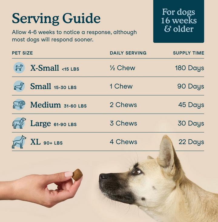Multivitamin Soft Chews for Dogs