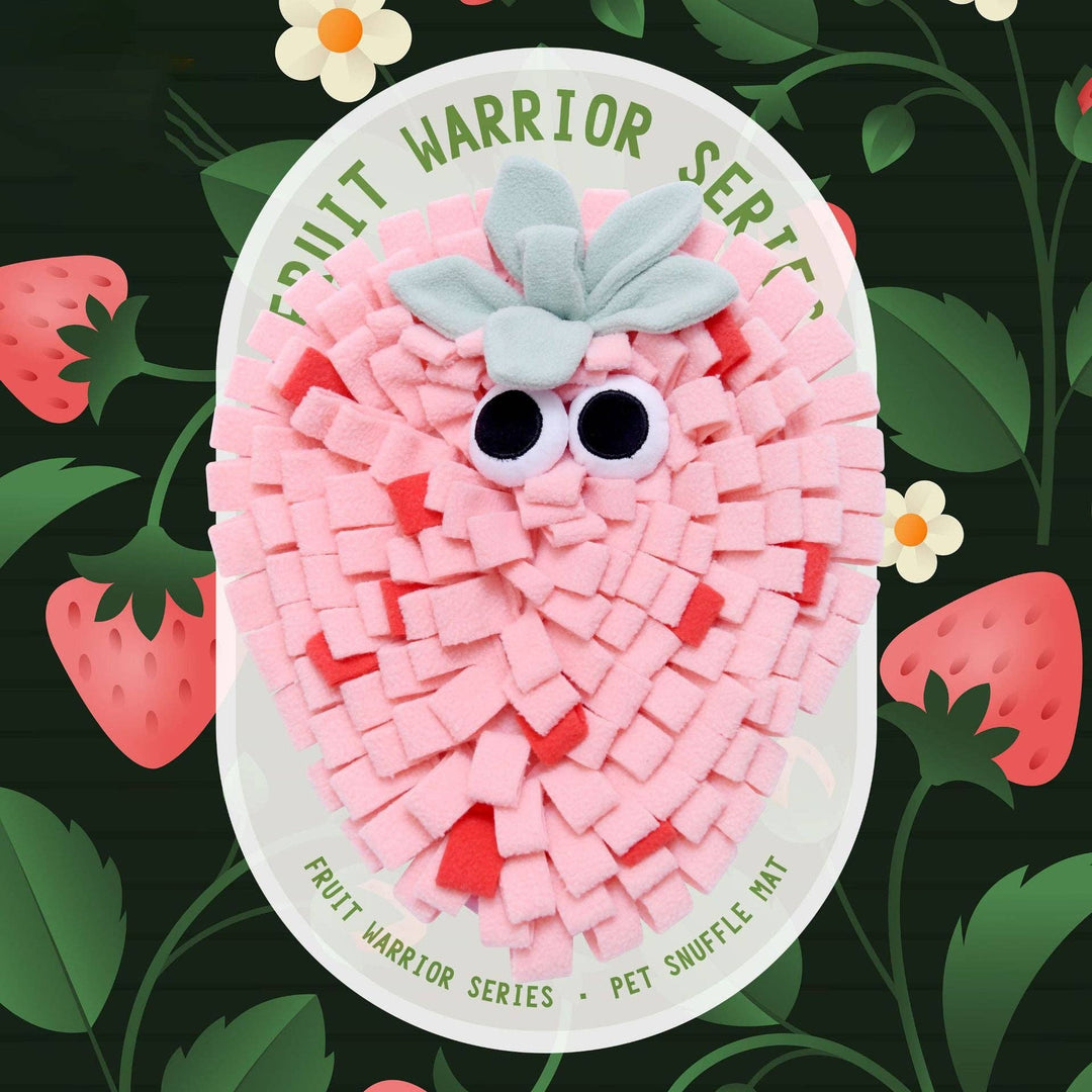 Fruit Snuffle Mat Enrichment for Pets