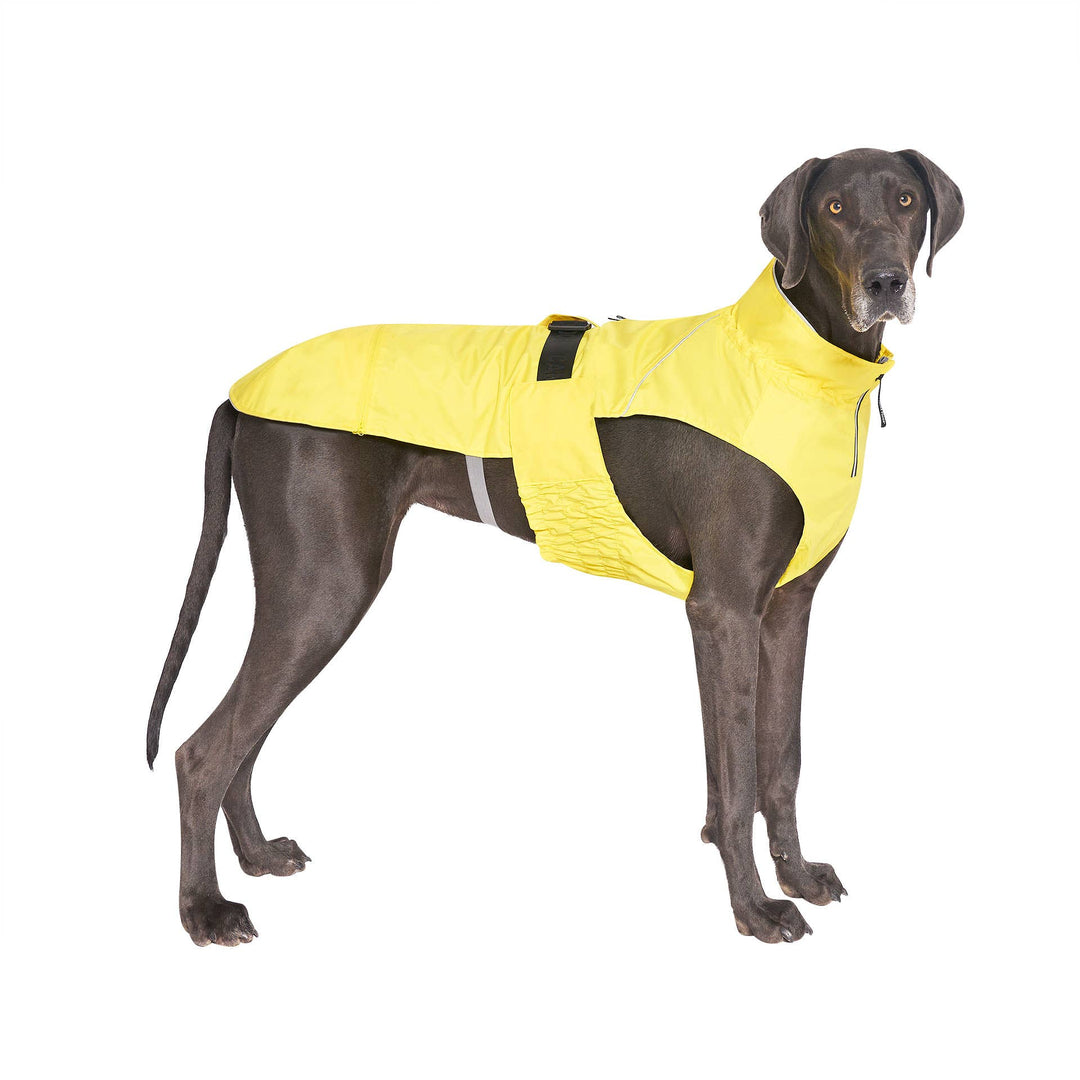 Grow-With-Me Dog Raincoat (Yellow)