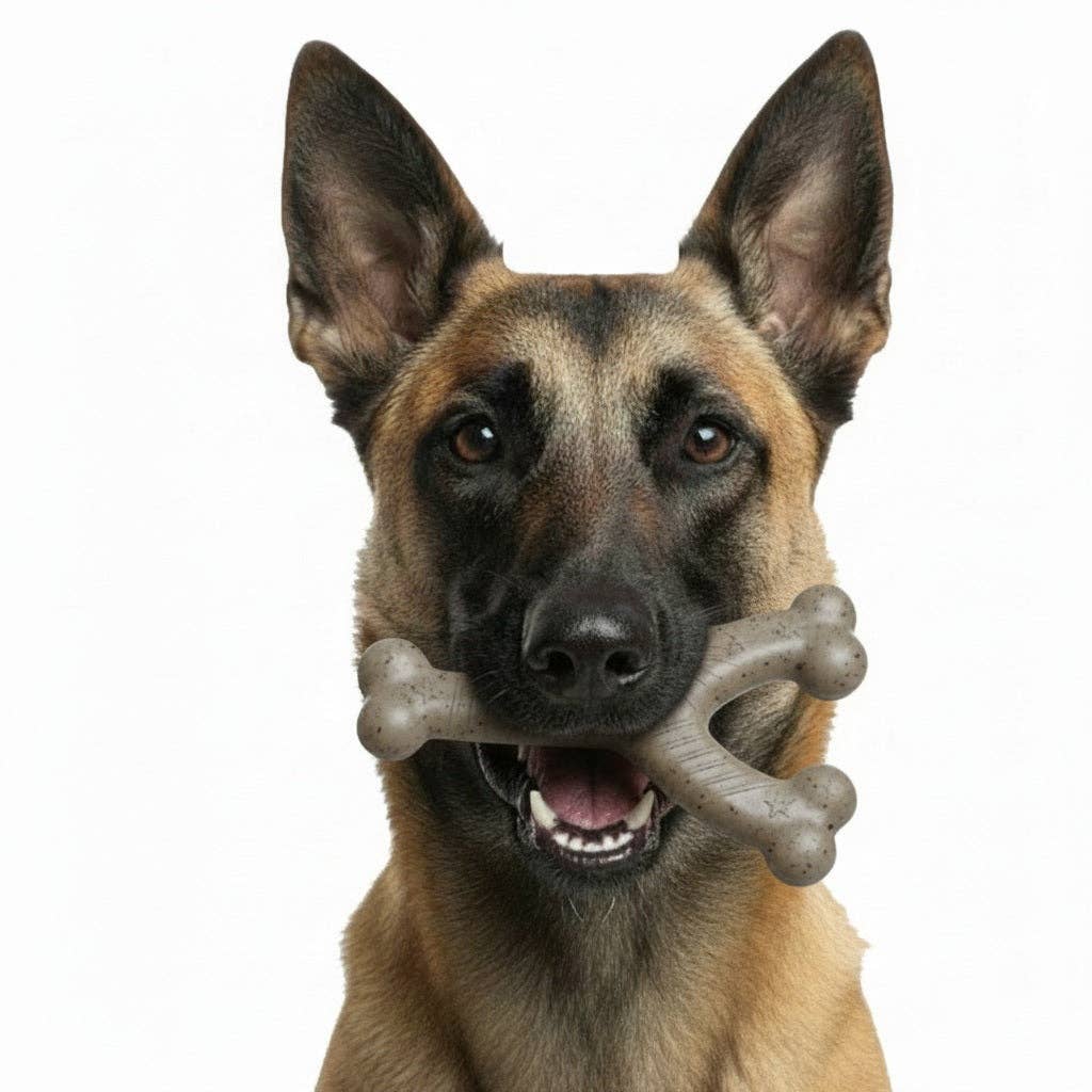 Wishbone Nylon Dog Chew Toy for Aggressive Chewers | USA Made