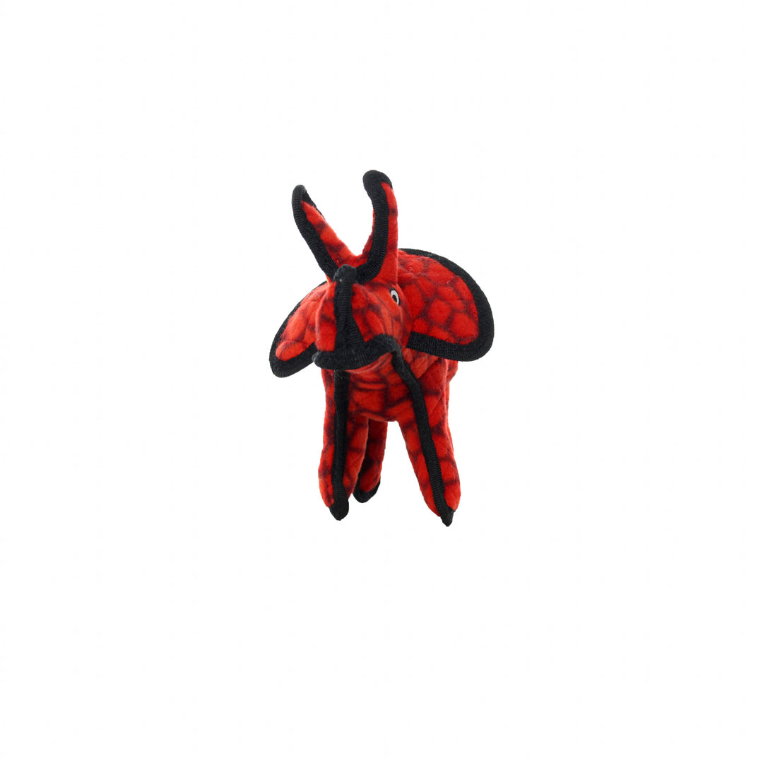 Tuffy Jr Dinosaur Triceratops, Durable, Squeaky Dog Toy