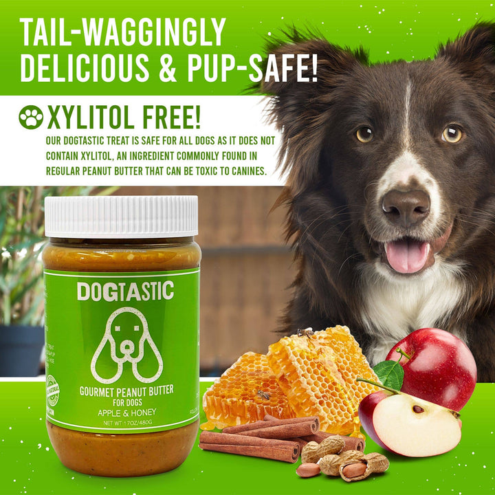 Dogtastic Gourmet Peanut Butter for Dogs - Pumpkin Flavor