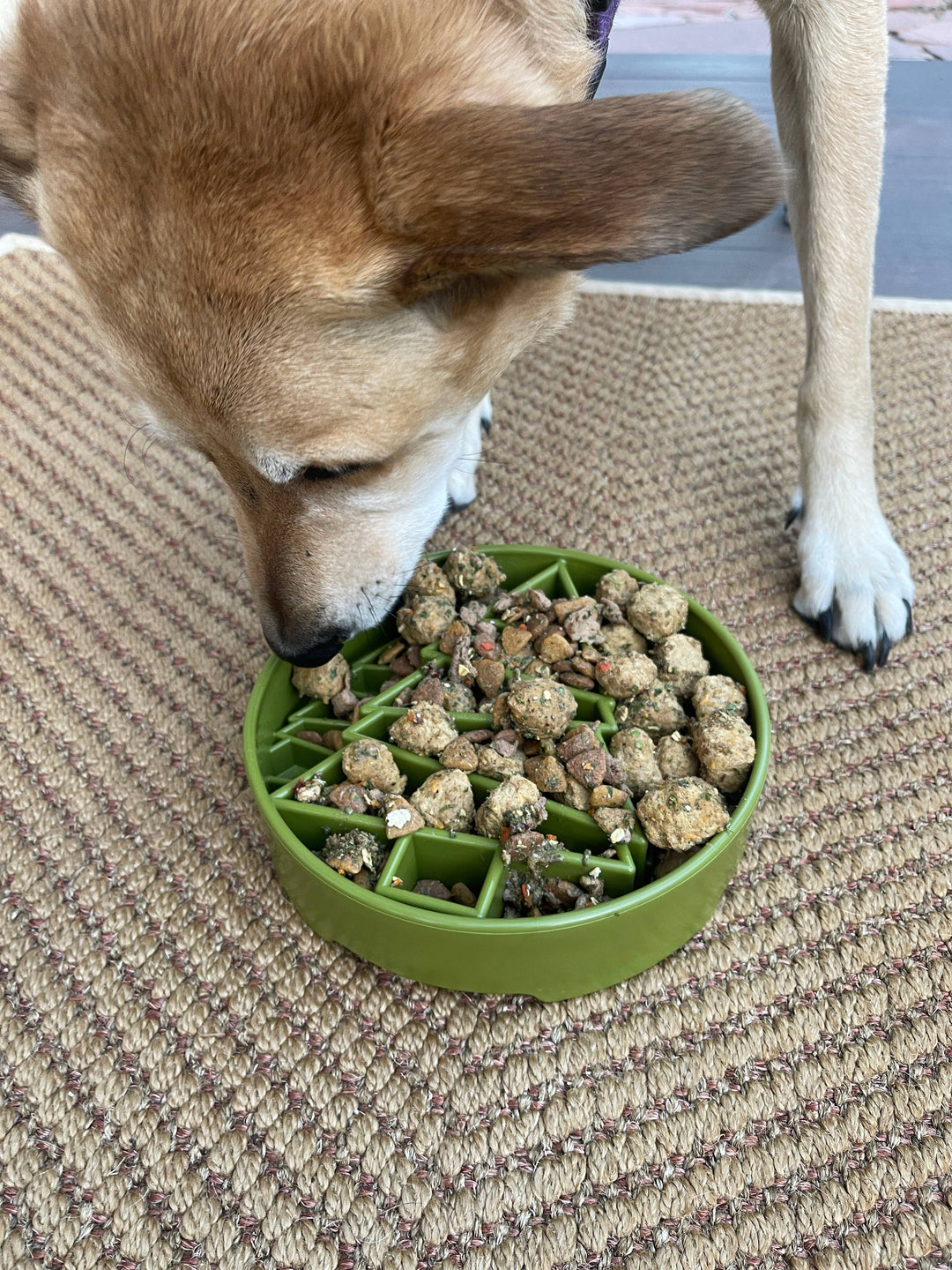 Pine Tree Design eBowl Enrichment Slow Feeder Bowl for Dogs