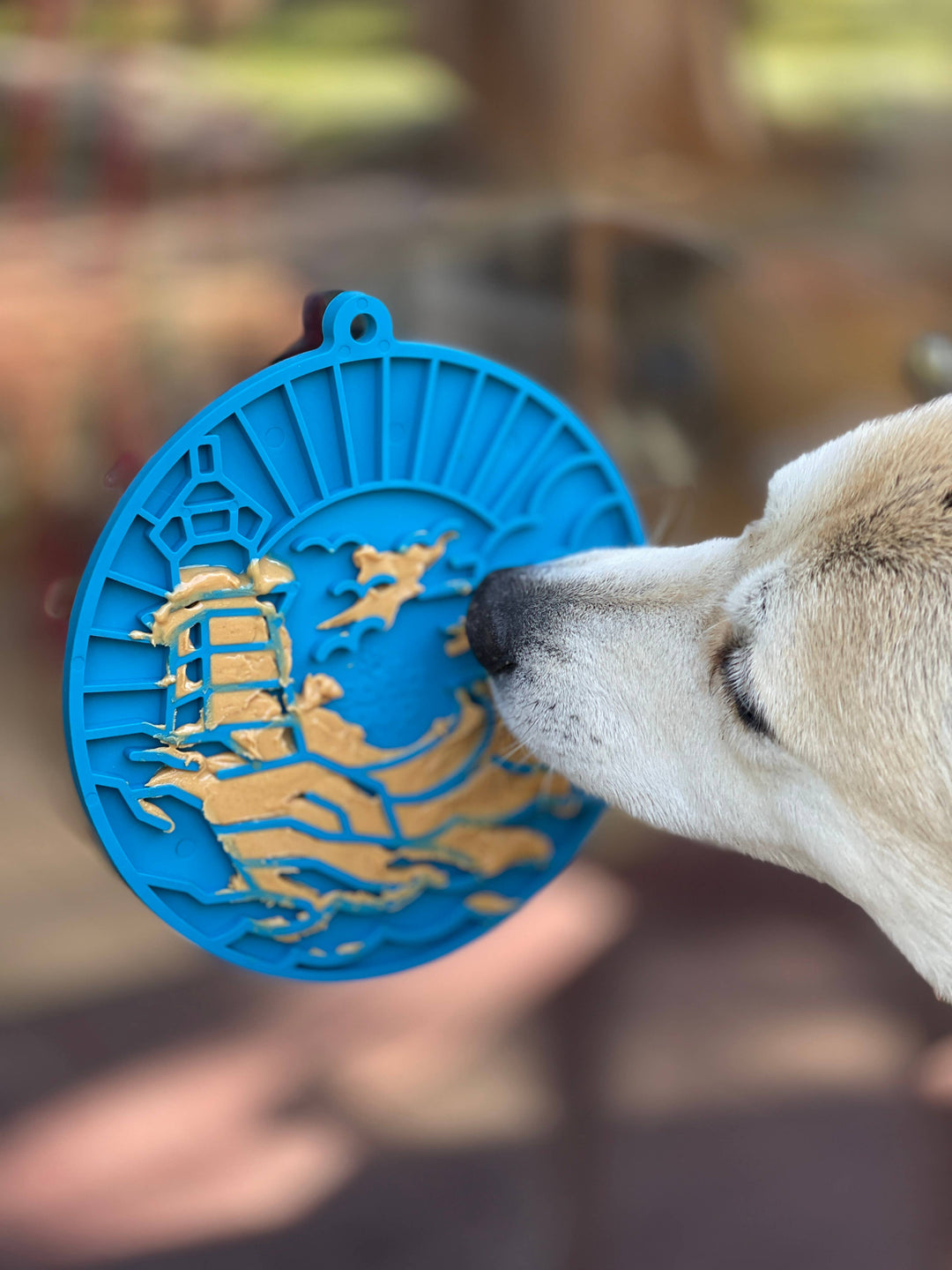 Lighthouse Enrichment Mat With Suction Cups