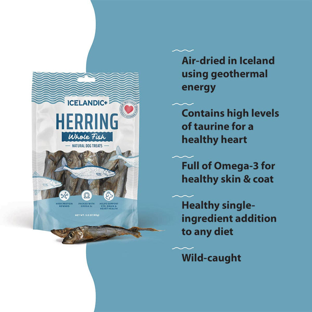 Icelandic+ Herring Whole Fish Dog Treats