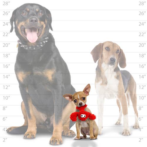 Mighty Jr Microfiber Ball Lobster, Durable, Squeaky Dog Toy