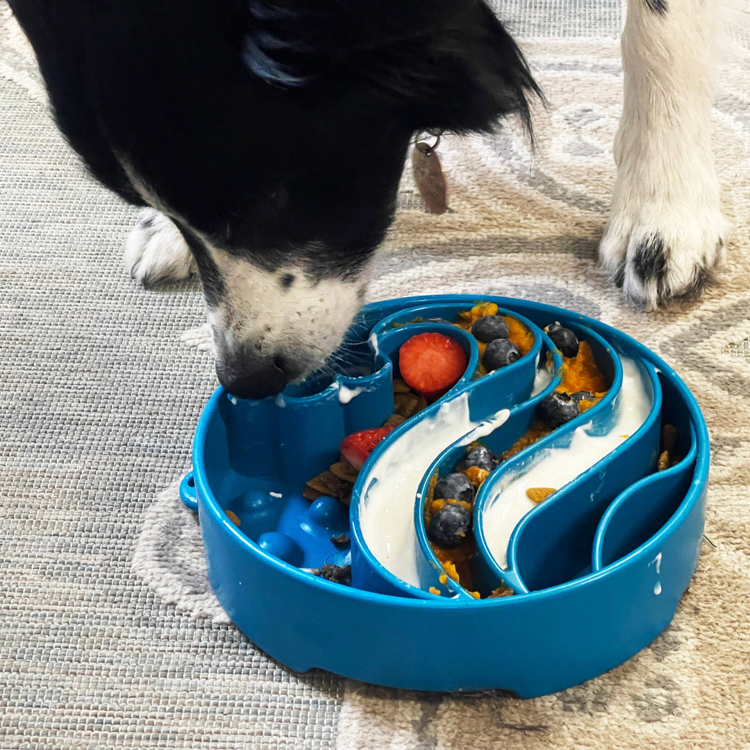 Wave Design Enrichment Slow Feeder Bowl for Dogs