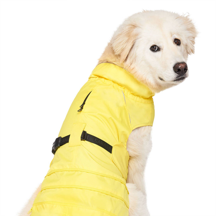 Grow-With-Me Dog Raincoat (Yellow)