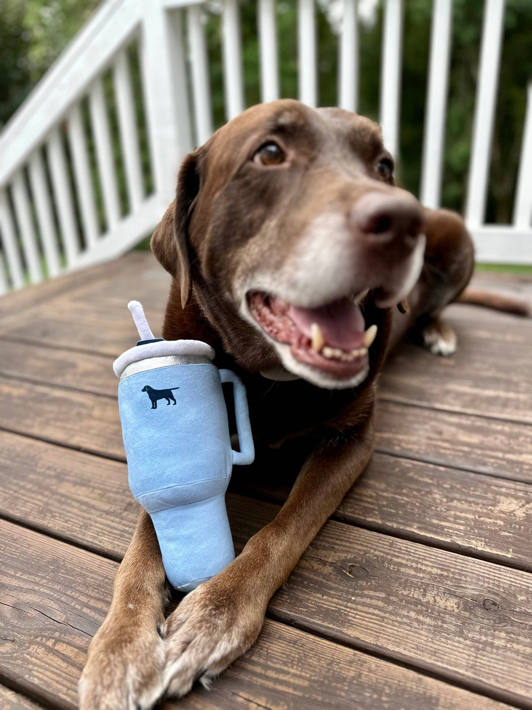 PUPROAR Tumbler Plush Squeaker Dog Toy