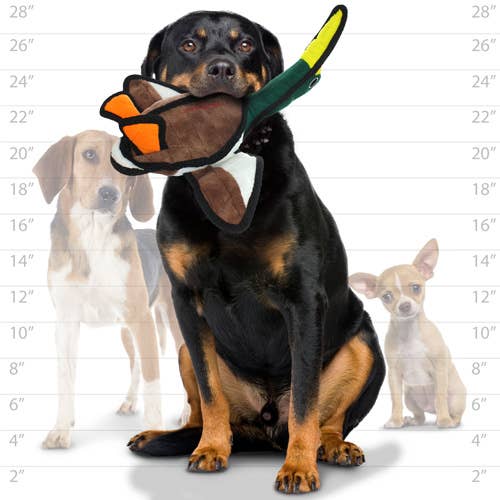 Tuffy Barnyard Duck, Durable, Tough, Squeaky Dog Toy