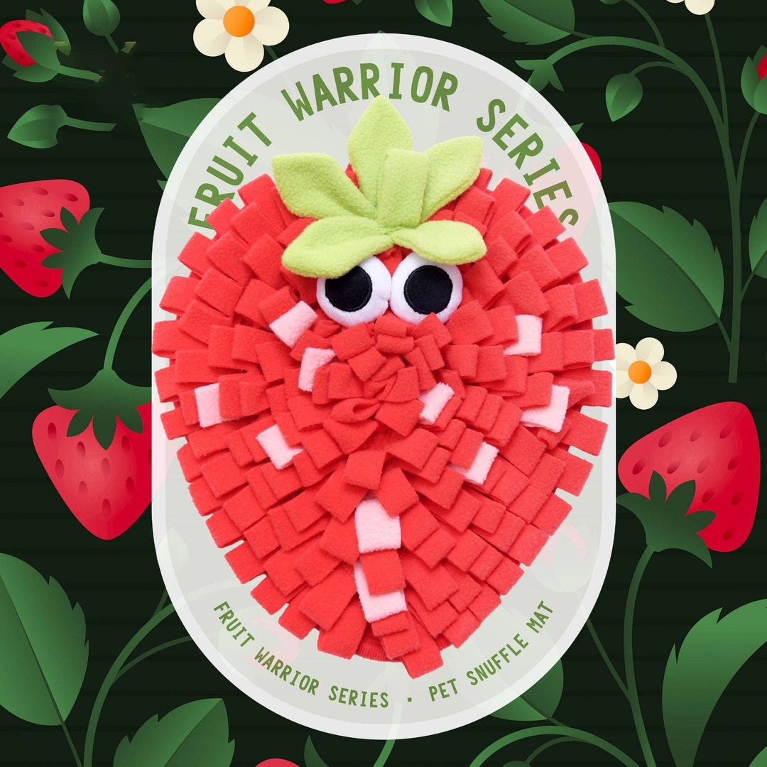 Fruit Snuffle Mat Enrichment for Pets