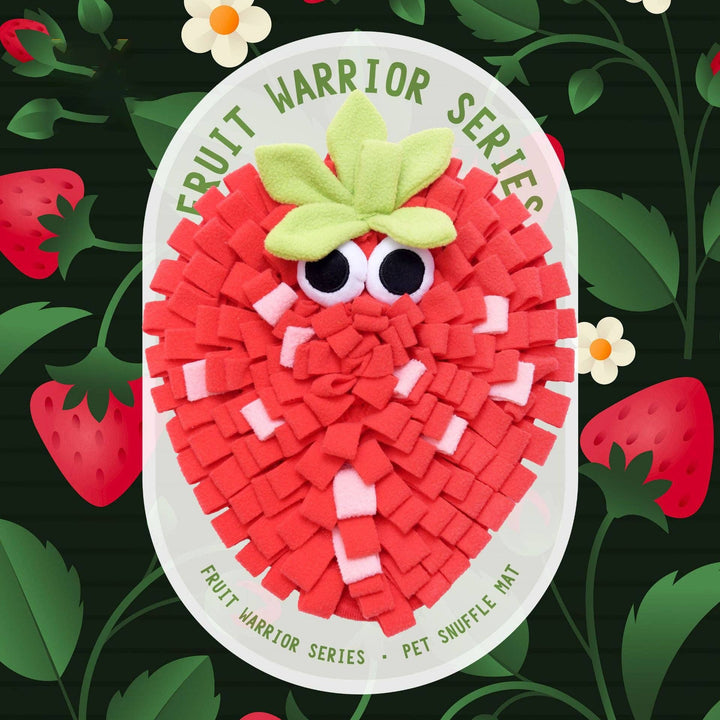 Fruit Snuffle Mat Enrichment for Pets